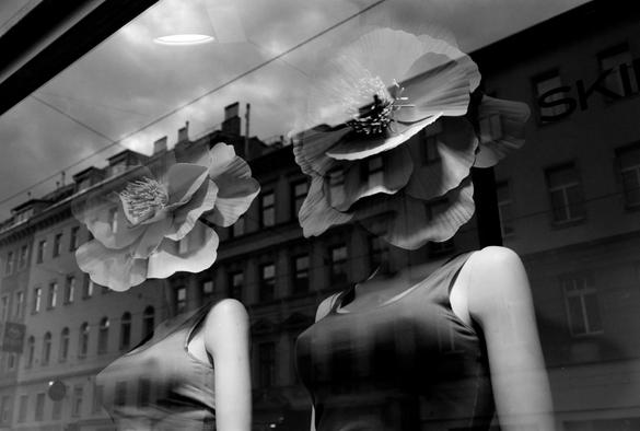 The black and white image shows two mannequins in a store window, each with a large, detailed artificial flower in place of a head, set against a reflection of a building and cloudy sky.
