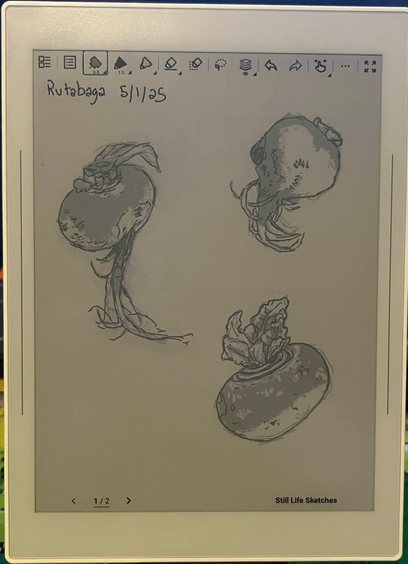 A photograph of an e-ink device, where there are black and white digital sketches of rutabagas dated 5/1/25