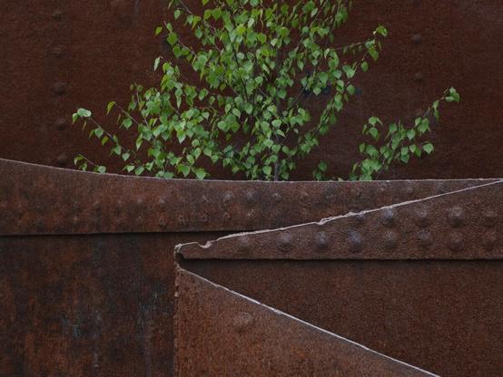 green twigs coming out of a steel sculpture