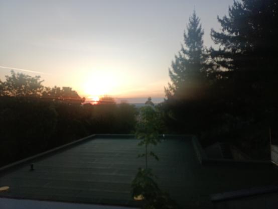 Vordergrund mit Flachdach. Links + rechts Bäume und Sträucher. Im Hintergrund Häuser bzw. deren Dächer und am Horizont sind der beginnende Sonnenaufgang und der Himmel zu sehen.