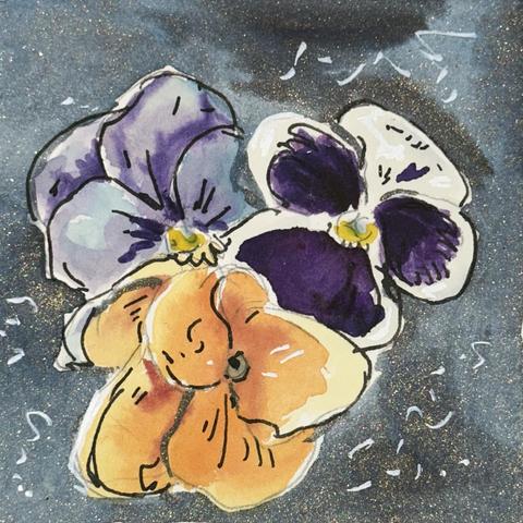 Three pansies on a dark surface. One is purple. One is orange. One is white with a purple face.