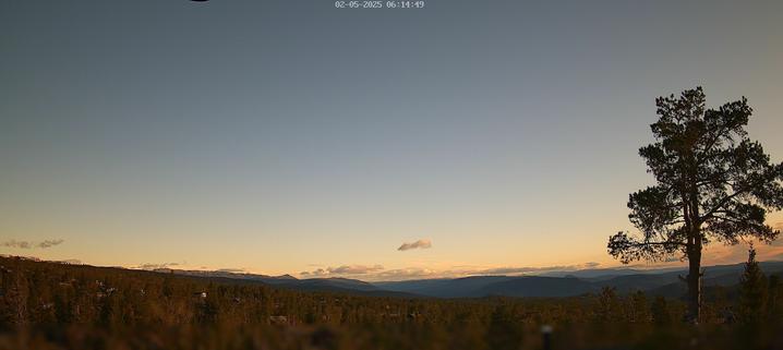 This webcam usually shows a view of the sky with a singular tree on the right side of the image, and more trees further in the distance. It's a cloudy day. It's 37ºF/3ºC.