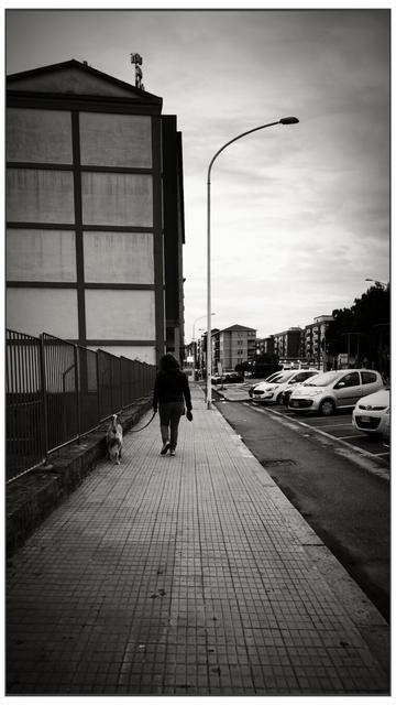Fotografia in bianco e nero in un marciapiede accanto a un viale urbano. Sulla sinistra é delimitato da una recinzione in ferro, sullo sfondo palazzine. Nel marciapiede una donna porta a passeggio un cane. Sulla destra macchine parcheggiate delimitano una pista ciclabile