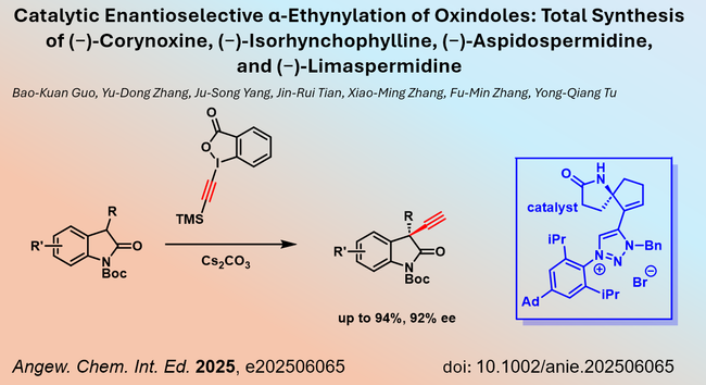 Catalytic Enantioselective α-Ethynylation of Oxindoles: Total Synthesis of (−)-Corynoxine, (−)-Isorhynchophylline, (−)-Aspidospermidine, 
and (−)-Limaspermidine

Bao-Kuan Guo, Yu-Dong Zhang, Ju-Song Yang, Jin-Rui Tian, Xiao-Ming Zhang, Fu-Min Zhang, Yong-Qiang Tu

Angew. Chem. Int. Ed. 2025, e202506065 		doi: 10.1002/anie.202506065