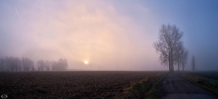 Ploughed field on the left on one side lined with willow trees and a small trench and a farm track on the right on a misty morning. The sun is peeking true.