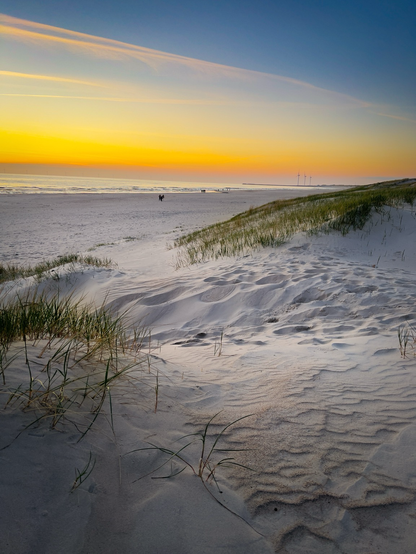 Strand mit Dünen im Sonnenuntergang