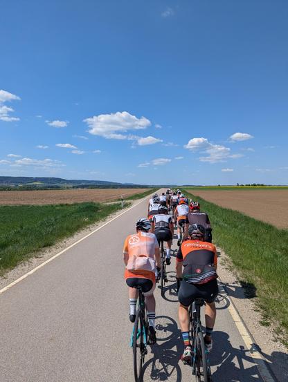 A group of about 20 cyclists on their roadbikes. Photo taken from behind the group as they are riding along a straight road against a nice blue sky. Green fields to the left and right.