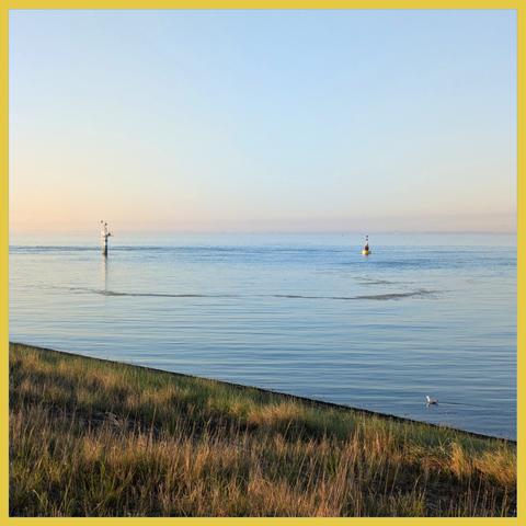 a flat sea, two buoys and a seagull at early morning. A picture full of quietness