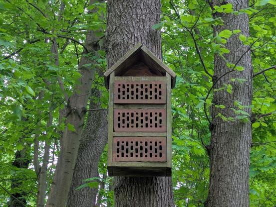 a wooden frame in a shape of a house with 3 bricks that have narrow through holes, hanging on a tree