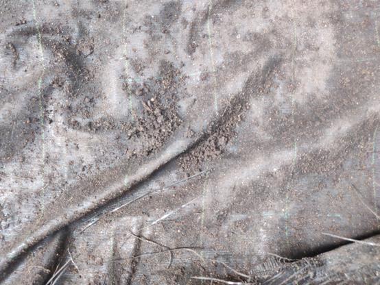 folds in fabric 

from an empty flower bed