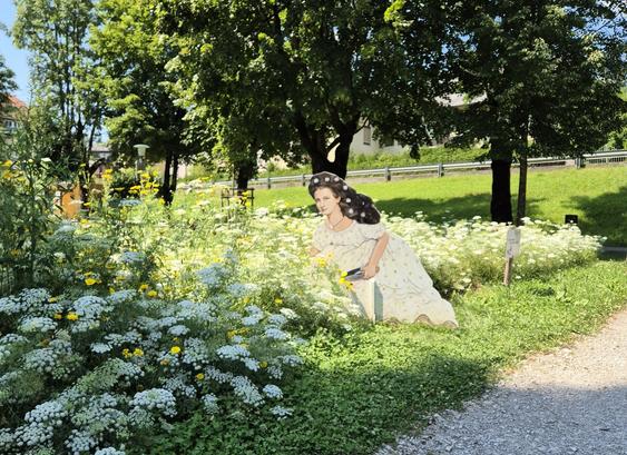 Eine Gartenanlage mit Beeten von weißen und gelben Blumen. In diesem Beet wurde eine Holzfigur aufgestellt und kunstvoll bemalt, so dass es so aussieht als würde die Kaiserin Elisabeth "Sisi" in einem weißen Kleid mit einer Gartenschaufel in der Hand im Beet knien und arbeiten.