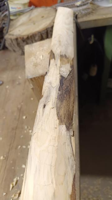 Blick von oben, Bogenrückeb auf die gleiche Sektion.
Das Holz bzw. Maserung wird durch die Äste massiv gestört.