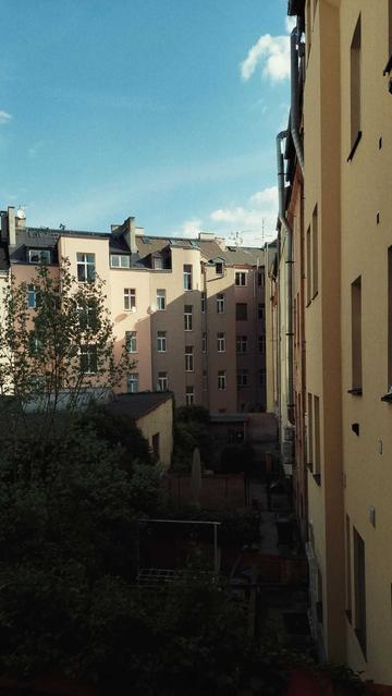 Backyards in an old housing neighbourhood. Warm sun partially sneaking in.