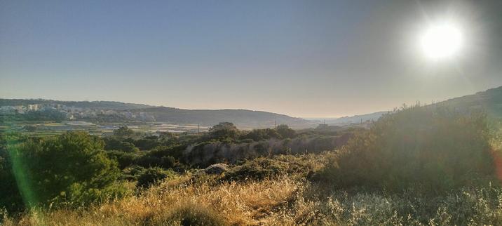 Looking East to Xemxija across the agricultural valley the sun is well risen and appears as a bright white orb in the right of the picture. The far distance is lost in a haze, but the foreground is a mix of dry bro n grass, green scrub and shrubs, where the hills form the horizon the sky appears pinkish as the remnants of the sunrise dissipate in the morning most