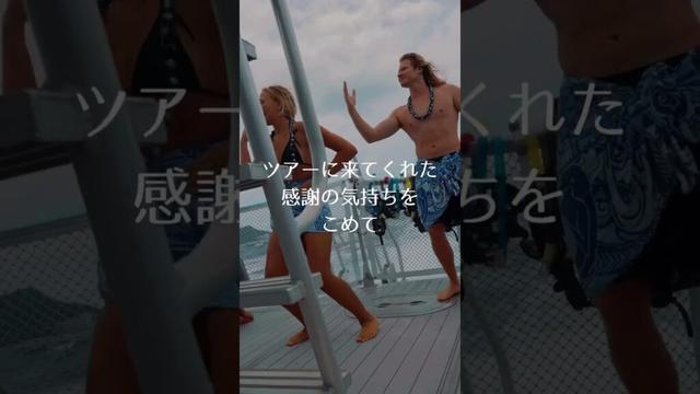 フラダンス　タートルシュノーケリングツアー