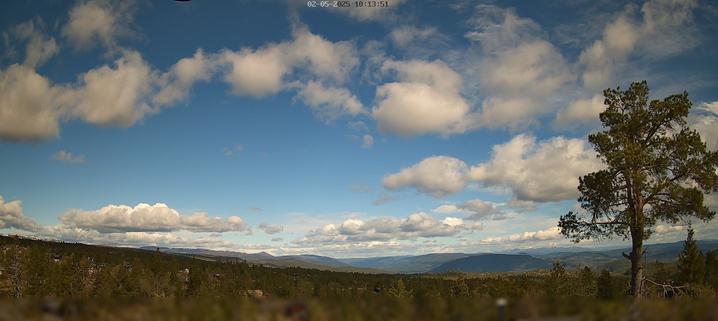 This webcam usually shows a view of the sky with a singular tree on the right side of the image, and more trees further in the distance. It's a clear day. It's 44ºF/6ºC.