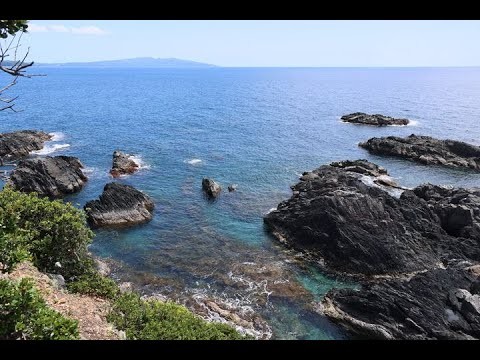 JG8K 高知 土佐清水 大岐/叶崎/鹿島 Kochi,Tosashmizu Oki/Kanaeszaki/Kashima