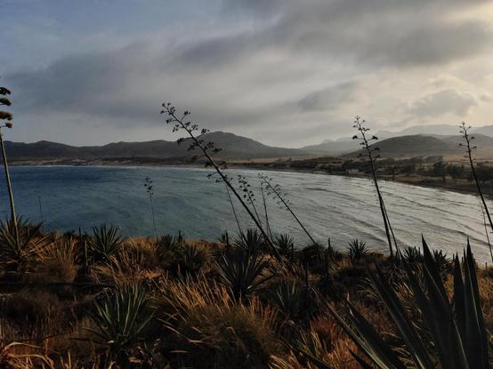 Vista general de la playa de Genoveses. En primer plano se ven unos ágaves. Al fondo se ven unas pequeñas colinas.