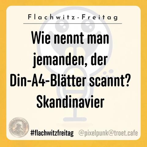 The image features a playful text joke in German. It asks, "What do you call someone who scans DIN A4 sheets? Scanner." The background includes a humorous cartoon-like design and the hashtag #flachwitzfreitag.