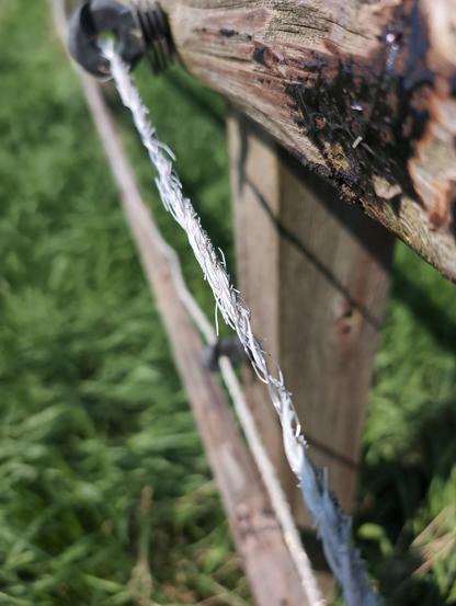 Oude schrikdraad uit plastic die in duizend deelen vervalt - een 'ervtenis' die we willen verwijderen zidat geen microplastic op ons land komt.