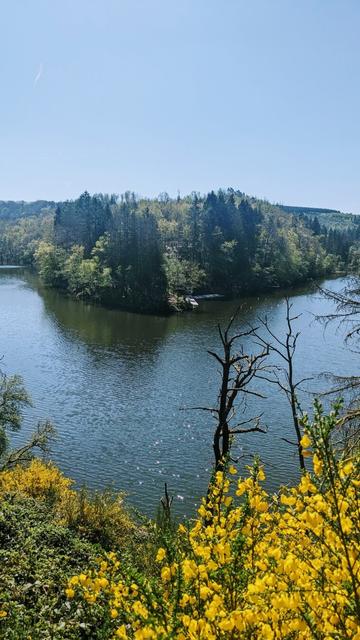 Vallée des deux Ourthes: orientale occidentale