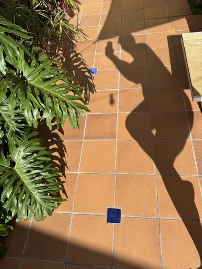 A sunlit outdoor patio features terracotta tiles and large green leaves. A dramatic shadow of a person in eagle pose is cast onto the ground. The scene is accentuated by small blue and orange tiles scattered on the surface.