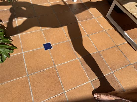 A shadow of a leg is cast on a tiled floor, with a small blue tile visible. A person's foot is partially in the frame, alongside some greenery. The person is trying a warrior 3 pose while holding and pointing a camera.