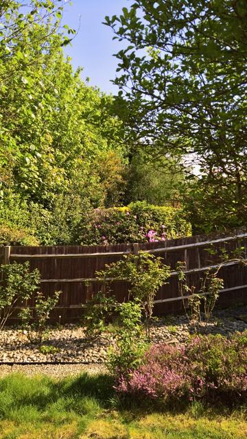 #SomeRoses and #SomeOtherThings...