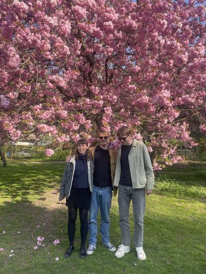 3 people standing in front of a pink blossoming tree