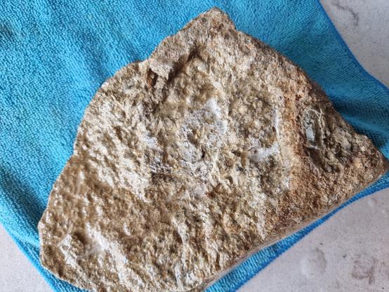 Another view of a bit of fossilised seabed?