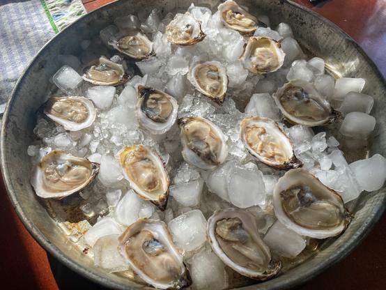 Metal pizza pan filled with ice and shucked oysters.