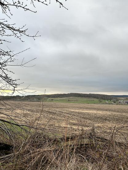 I see dark moody clouds hanging over the sky. We’re not supposed to get rain, but I think I see showers off over towards the east. I keep saying that the trees will green up soon, but they actually will soon because the buds are starting and the first of the late season spring arrivals are arriving.