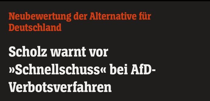 Screenshot einer Schlagzeile bei Spiegel Online „Scholz warnt vor Schnellschuss bei AfD-Verbotsverfahren