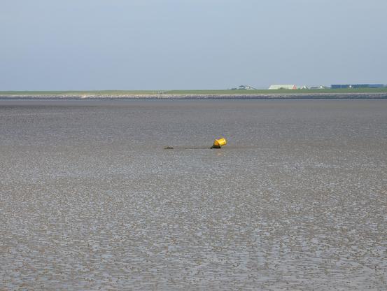Boei op het land bij eb