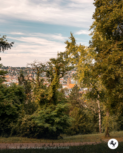 Das Foto zeigt den Ausblick von der Karlshöhe auf den Stuttgarter Westen zwischen Bäumen.