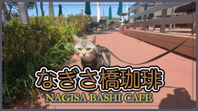 【逗子海岸を臨むカフェ】ペットに大人気のなぎさ橋珈琲で猫とモーニング！