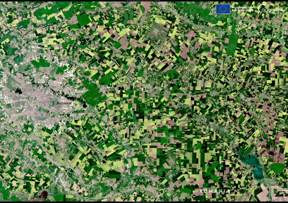Agricultural_blooms,_Romania_(Copernicus_2025-05-02).png