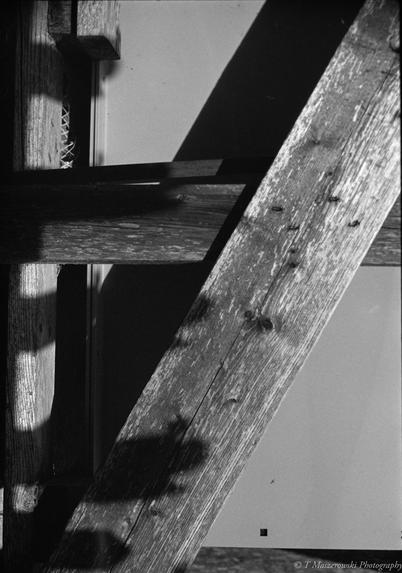 Nikon F2 w/50mm f/1.4 Nikkor on Foma 400 (@200)