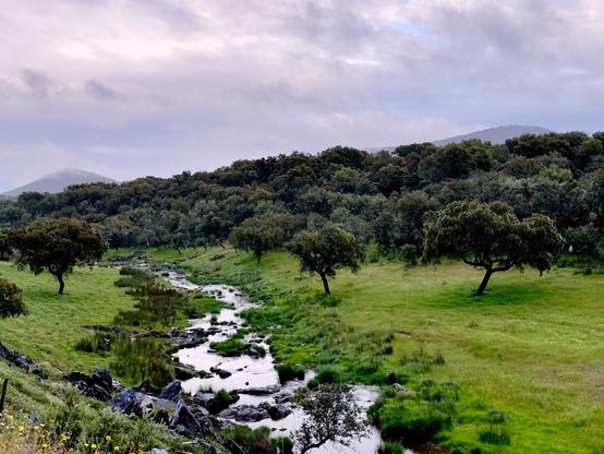 Paisaje. Hay encinas a cascoporro y un rio en el medio.