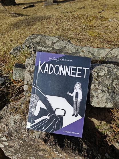 Kuvassa Kadonneet-kirja kuvattuna kiviaidan päällä.