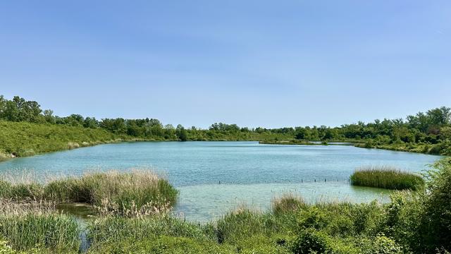Une lac tout bleu, un ciel tout bleu et de la végétation toute verte.