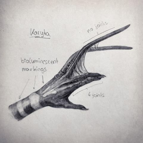 Pencil drawing of an alien hand (species: Karyta). It has five digits in total: one thumb, two rather normal fingers with 4 joints and claws, and two elongated fingers with no joints at all. There are light markings around the wrist. A handwritten text reads "bioluminescent markings". There are also annotations for the joints and the name of the species, Karyta.