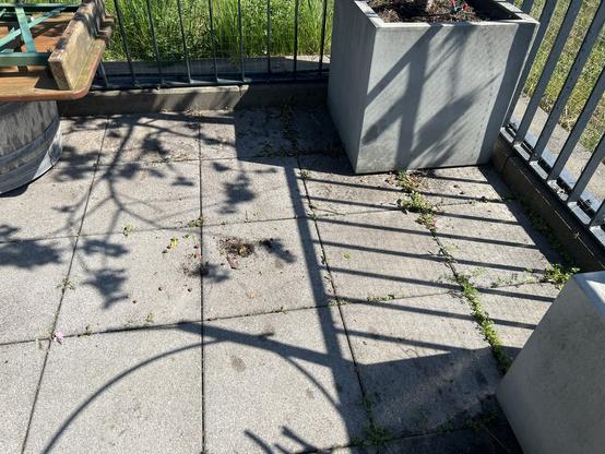 Another view, now with even more weed growing between the stones.