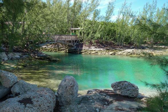 A serene wooden footbridge spans the turquoise waters of a pond, surrounded by lush tropical greenery on Coco Cay, Bahamas, under a bright sunny sky.