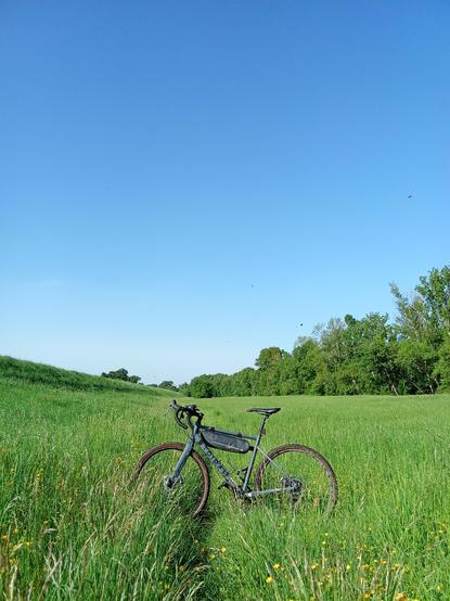 A gravel bike standing in the middle of green grass. The sky is blue and there are trees in the background