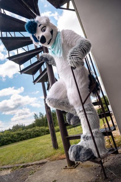 Fursuiter try to use a spiral starecase.
