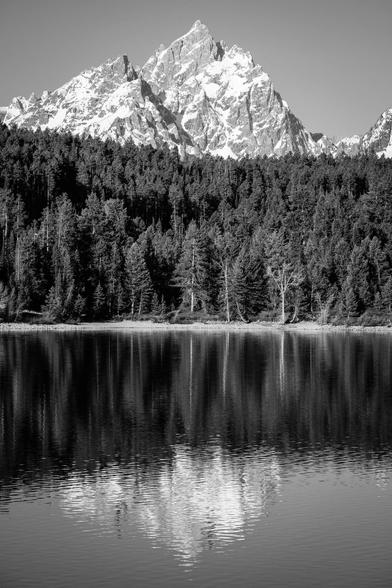Grand Teton and Teewinot Mountain, seen behind the woods near Jackson Lake and reflected off the surface of the lake.