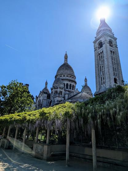 On a sunny and warm afternoon, a blooming wisteria treillis is seen on the foreground. At the back, the Sacré-Cœur is standing tall.