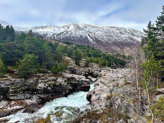 This image features a dynamic and picturesque natural landscape. It showcases a turbulent river flowing through a rugged, rocky gorge. The river is possibly swollen with meltwater, hinting at either spring or early summer in a mountainous region. Lush greenery, primarily coniferous trees, accentuates the banks of the river, adding a vibrant contrast to the scene. Above the river gorge, the backdrop is dominated by a large mountain with its upper reaches dusted with snow, suggesting a relatively cold climate or high altitude. The cloudy sky above adds a dramatic touch to the overall scenery, enhancing the atmospheric quality of the image. This setting could be ideal for outdoor activities like hiking, photography, and nature exploration.
