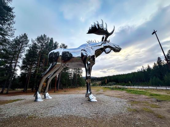 The image features a large, reflective sculpture of a moose. The sculpture is metallic, possibly made from chrome or polished stainless steel, which gives it a mirror-like surface. The moose is depicted in a standing position with its head slightly turned, showcasing its detailed antlers and muscular build. The sculpture is set in an outdoor environment with a forest backdrop and a cloudy sky, which enhances its reflective qualities. There's also a gravel area around the sculpture, suggesting it is displayed publicly, likely as an art installation or as part of a park.